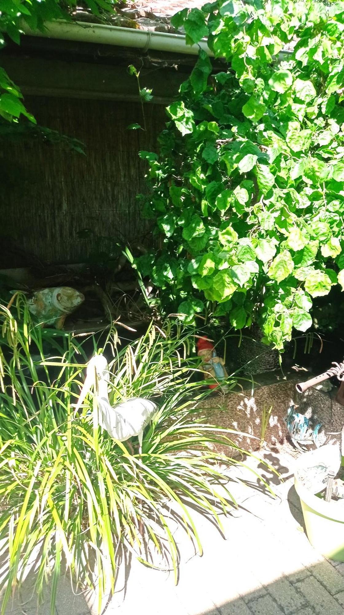 Garden Duplex Apartman Sundhoffen Kültér fotó