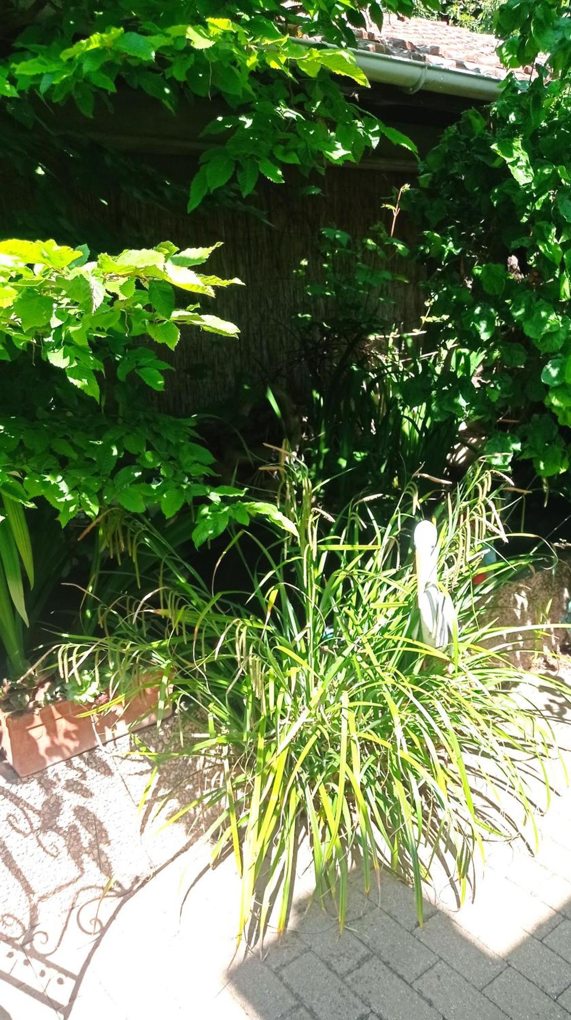 Garden Duplex Apartman Sundhoffen Kültér fotó