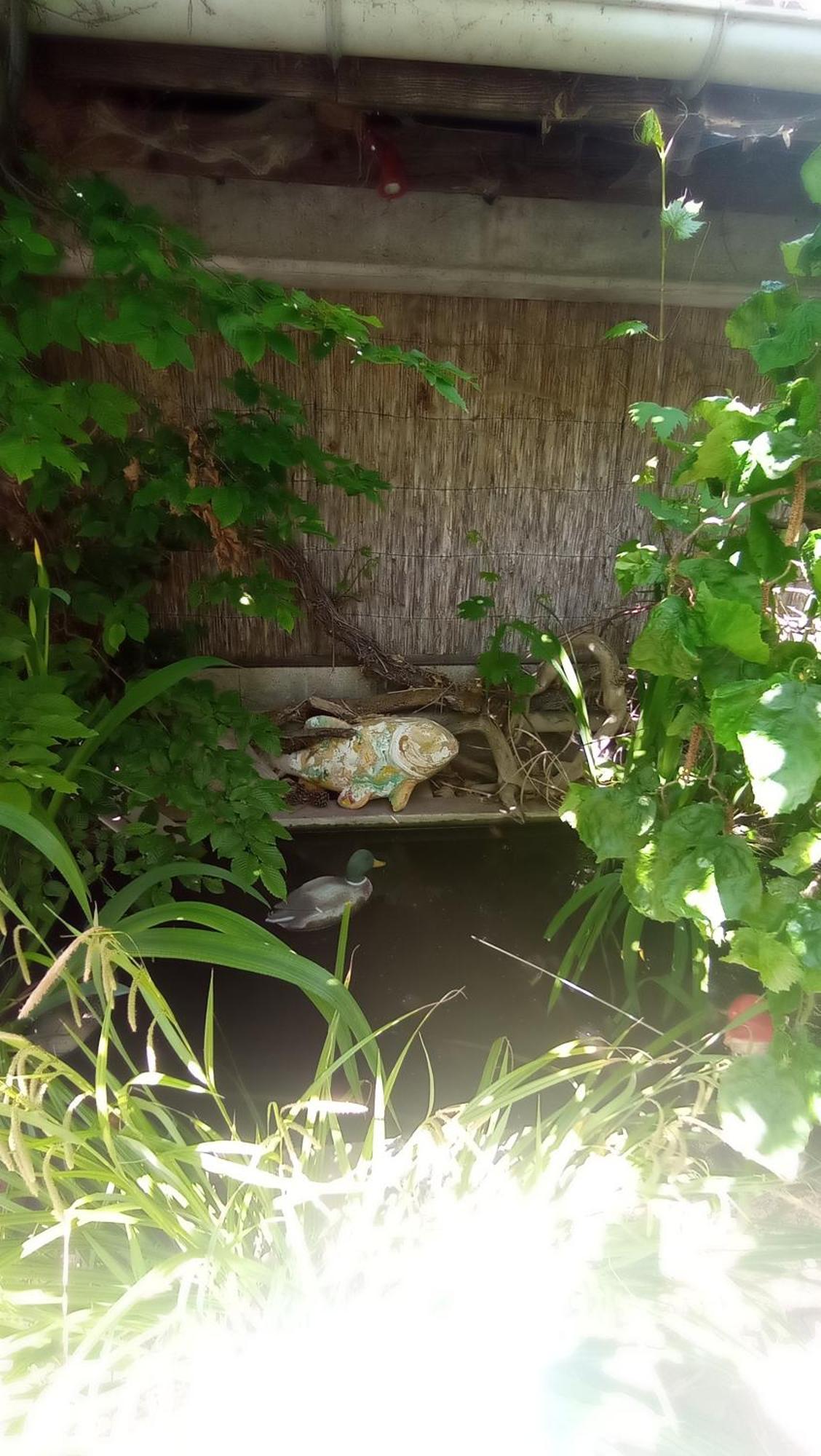 Garden Duplex Apartman Sundhoffen Kültér fotó