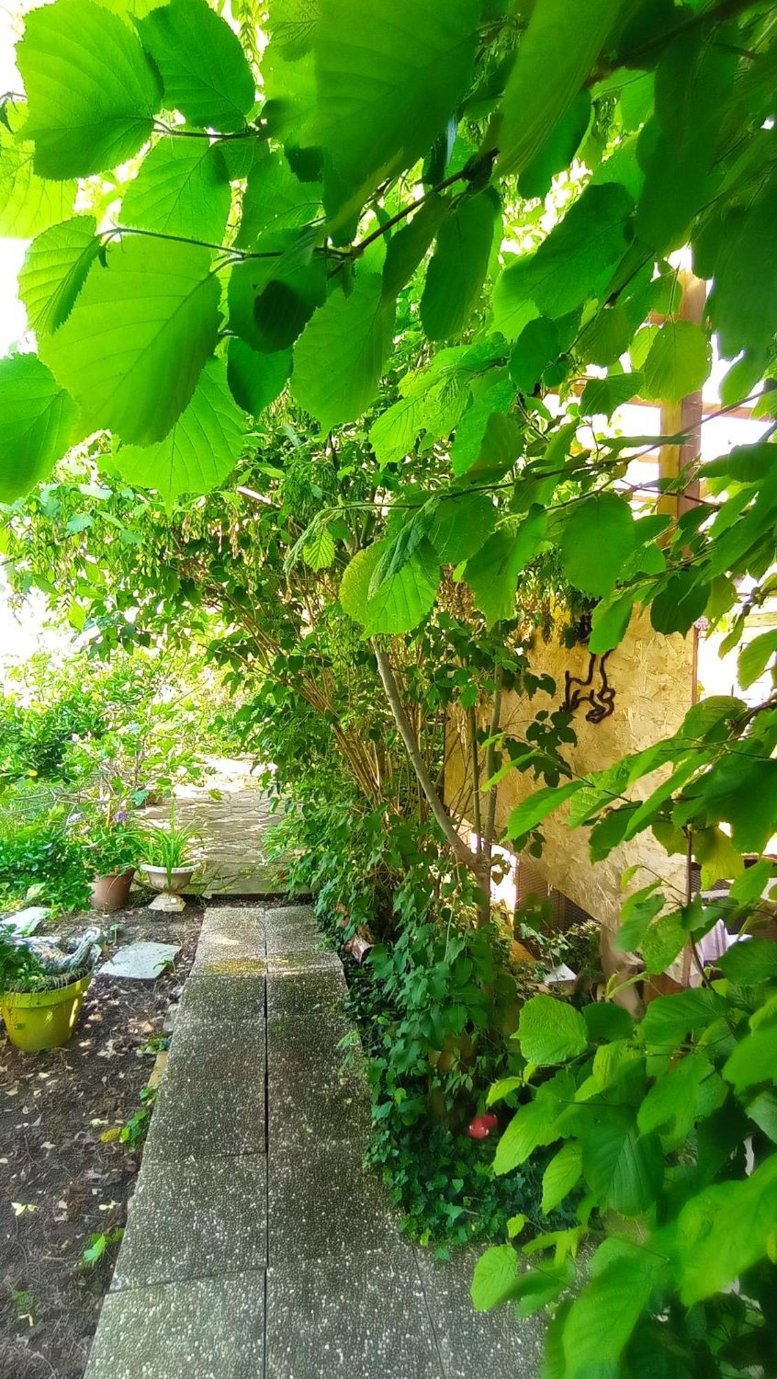 Garden Duplex Apartman Sundhoffen Kültér fotó