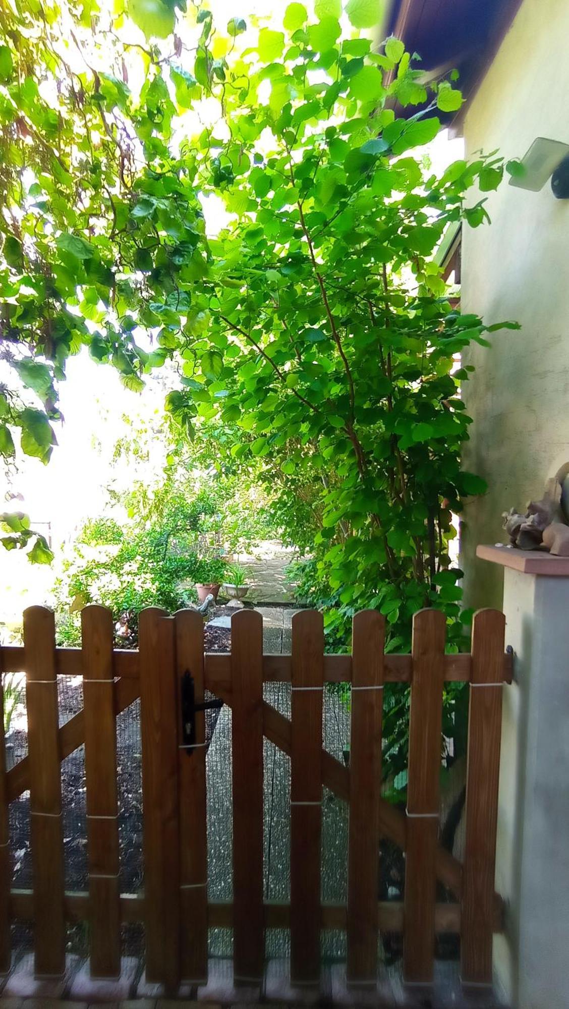 Garden Duplex Apartman Sundhoffen Kültér fotó