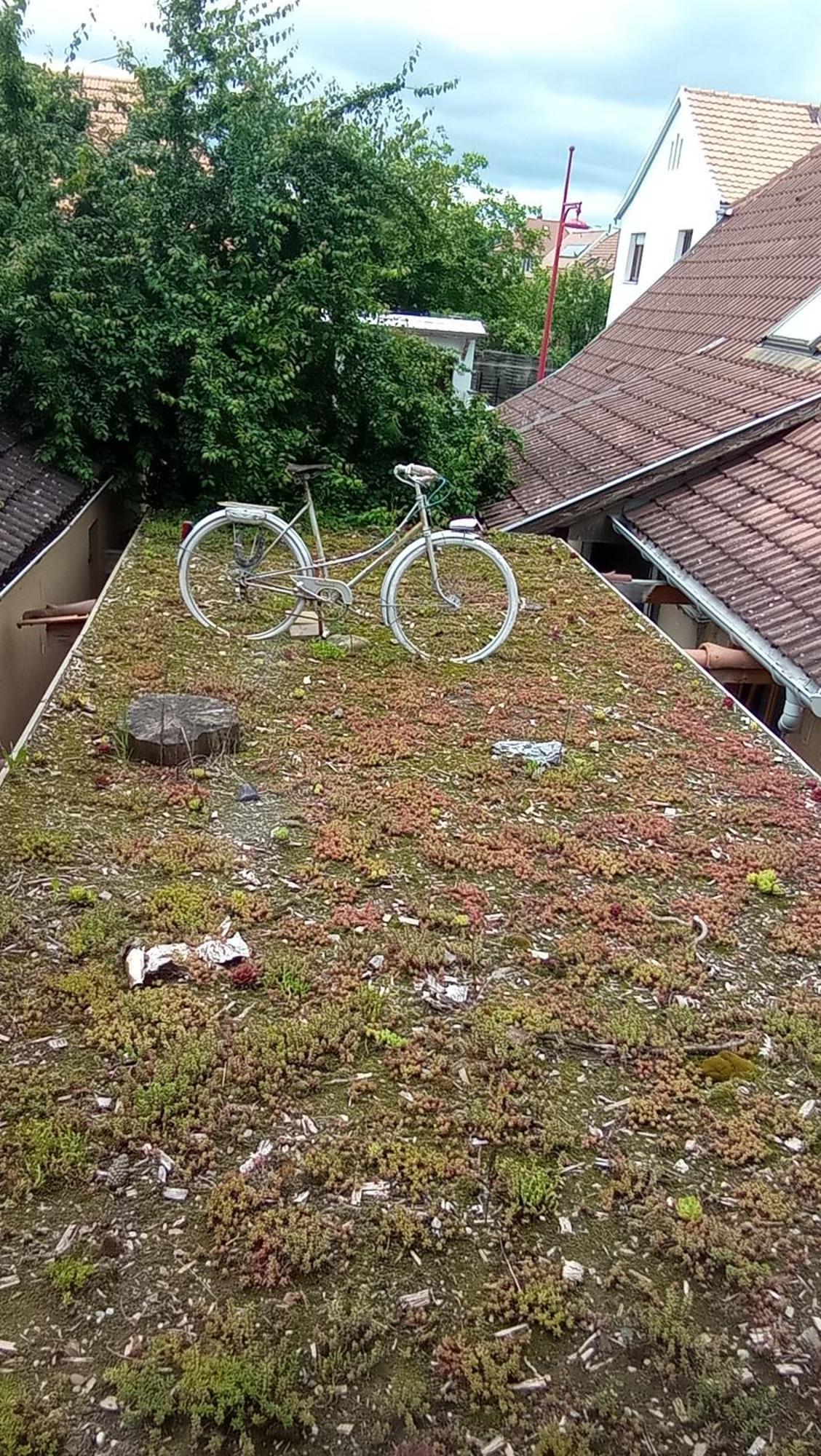 Garden Duplex Apartman Sundhoffen Kültér fotó